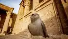 Admiring the ancient Edfu Temple during Classic Vacations Travel in Egypt